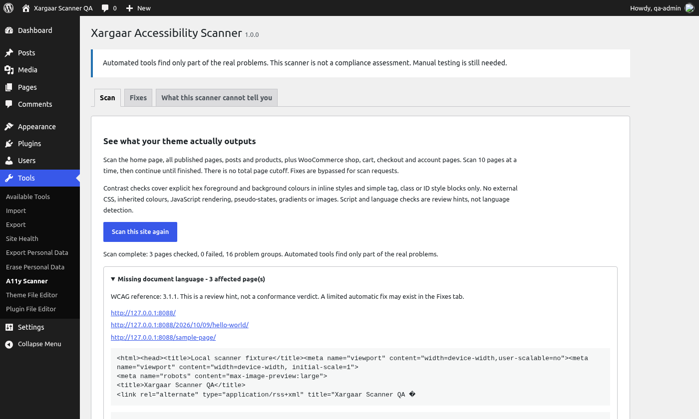 Plugin results grouped by accessibility issue, with affected page URLs and markup examples